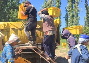 Desde el IDR explicaron las bases científicas que  utilizan para los pronósticos de cosecha y refutaron los dichos de productor local