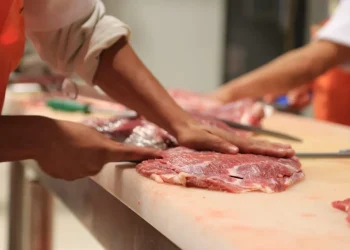 Desmintieron los audios de WhatsApp que hablan de un brote por carne en mal estado: la situación en Mendoza