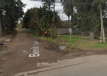 Horror en la provincia de Buenos Aires: Discutió con su hermana porque los perros le rompieron unos maples de huevos y la asesinó a cuchillazos