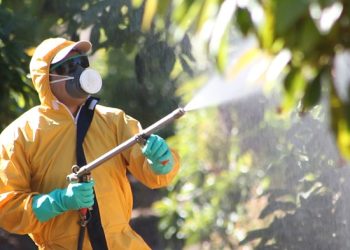 Critican el “uso indiscriminado de agroquímicos” y  el fácil acceso a sustancias peligrosas