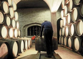 Exportaciones de vinos a granel: luces  y sombras del sector en la actualidad
