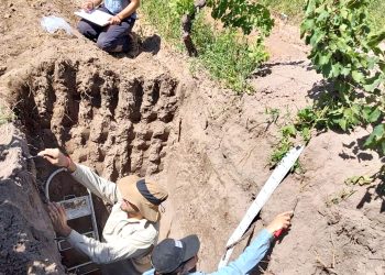 Importante estudio de suelo para definir  el terroir de los vinos locales