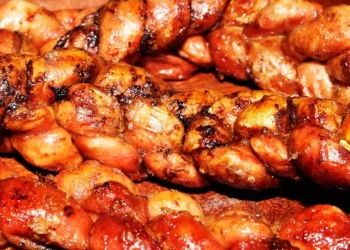 Qué es la shigella, la peligrosa bacteria que mató a dos hombres en Argentina: cuáles son lo síntomas y cómo prevenirla