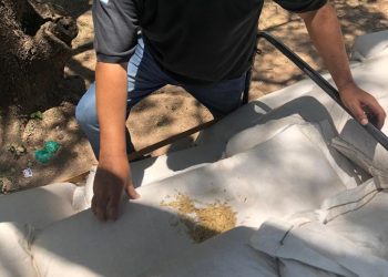 La Aduana secuestró cargas de granos y agroquímicos que eran transportadas de manera ilícita