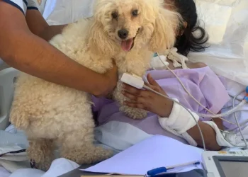 Lleva un mes internada en terapia intensiva, cumplió 18 años y la sorprendió su perro