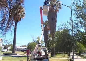 Importante inversión del  municipio en luminarias led