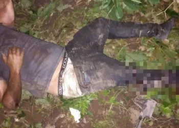 Persiguió y atropelló al ladrón que le había robado: quedó detenido