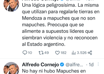Dura crítica de Cornejo a Nación por ceder 21.000  has.: «En Mendoza no hubo ni hay mapuches»
