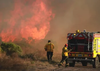 Seis provincias registran incendios forestales activos: cómo es la situación en Mendoza