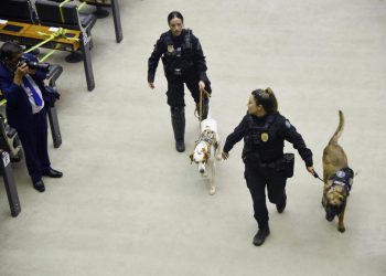 Tensión en Brasil: detuvieron a hombre con explosivo y cuchillo intentando ingresar a toma de posesión de Lula