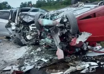 Otra tragedia en una ruta argentina: Seis personas murieron y otra quedó internada en grave estado tras un choque frontal