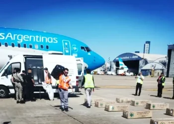 A juicio por haber dicho arriba de un avión que llevaba una bomba: “Hice lo peor que podría haber hecho”