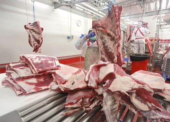 Mínimo histórico: en 2022 se registró un consumo de carne que no alcanzó los 40 kilos por persona