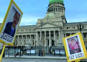 El Gobierno incluyó el proyecto de «Ley Lucio» en las sesiones extraordinarias del Senado