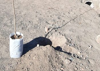 “Forestar para frenar la  crisis climática actual”