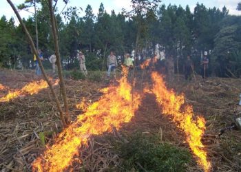 Buscan replicar  el modelo puntano de “quemas prescriptivas” en zonas ganaderas