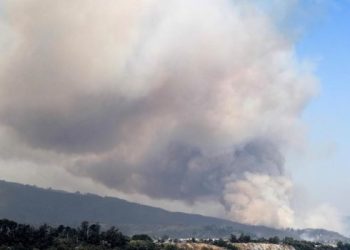 Asciende a 12 el número de muertos en los incendios forestales de Chile