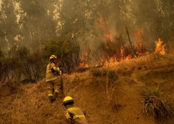 Catástrofe en Chile: 24 muertos por los incendios