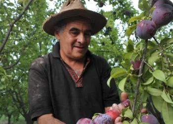 Recuperagro: la segunda edición beneficiará a 3.000 productores y contratistas afectados por las inclemencias
