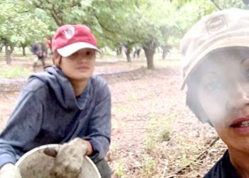 A la mañana cosecha en la finca y por la tarde se calza la corona de Reina