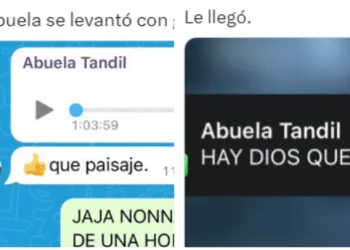 Abuela mandó un audio de WhatsApp de una hora y el nieto la hizo viral: «Así soy yo»