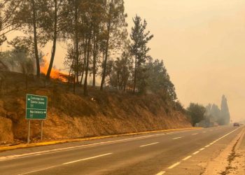 Alerta: Chile declaró estado de catástrofe por los incendios y sigue aumentando la cifra de fallecidos