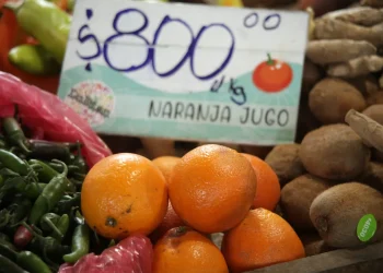 Cómo golpea a verduleros y gastronómicos la escasez de naranjas en Mendoza