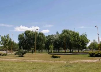 Crece el misterio en Río Negro por una colección de juguetes «para adultos» abandonados en una plaza