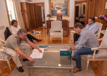 Entrega de tierras a pseudo mapuches: Suarez firmó tres recursos de reconsideración en contra de las resoluciones del INAI