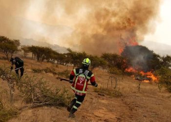 Incendios en Chile: murió un brigadista y las víctimas de la catástrofe suben a 25