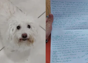 La historia de Sofía, la perra de 13 años que fue abandonada con una carta desgarradora que explica el motivo