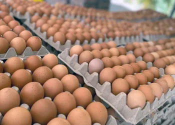 La  explicación que dan por el aumento de los huevos