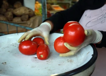 La tradición de hacer salsa casera: cuánto cuesta el cajón de tomate