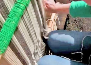 La loable labor de las  mujeres tejedoras: un proyecto que nació en plena pandemia