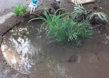 Una vecina “decoró”  pozos producidos por pérdidas de agua para llamar la atención y que definitivamente se solucionen