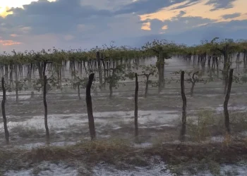 Suarez anunció nuevas medidas para los productores afectados por las contingencias climáticas
