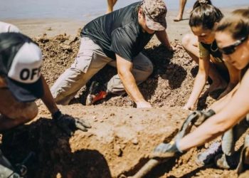 Una niña de 9 años encontró en la playa de Chapadmalal los restos de dos gliptodontes de tres millones de años