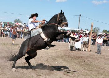 Vuelve a realizarse el Festival  del Caballo en Salto de Las Rosas