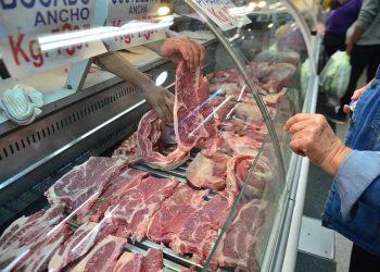 Viejas recetas y beneficios que a San Rafael nunca llegaron