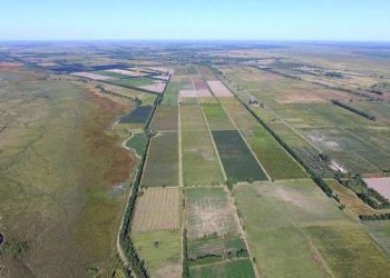ATM detectó irregularidades en el Inmobiliario  rural pero hay también críticas en el relevamiento utilizado