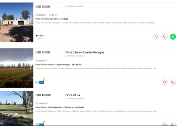 Adquirir una finca en producción cuesta menos que  comprar una casa en el centro