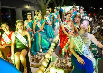 Los carros: color y fiesta por las calles de Mendoza