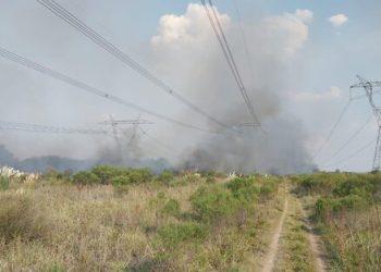 Apagón masivo: el Gobierno estima que afectó a casi 20 millones de usuarios y ya se normalizó el servicio en varias provincias