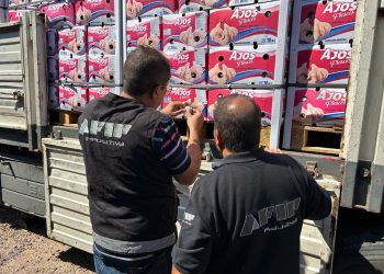 Aduana frenó el contrabando de 121 toneladas de ajo a Brasil y Chile