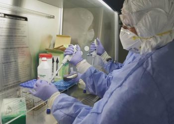 Alerta sanitaria en Estados Unidos por la propagación de un hongo potencialmente mortal