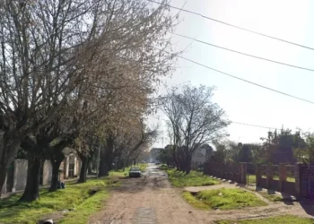 Gran Buenos Aires: Asesinó a un amigo tras robarle una garrafa para comprar droga