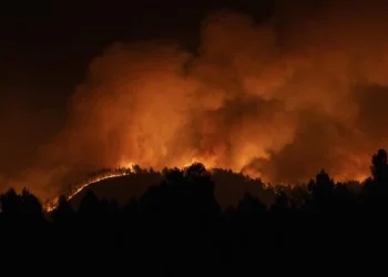Avanza sin control el primer gran incendio forestal del año en España