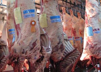 El ingreso de dólares por exportaciones de carne bovina se derrumbó durante el verano