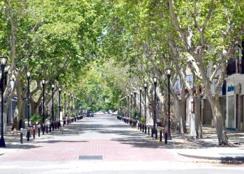 Avanza un proyecto en el Concejo para prohibir  colocar carteles en postes o árboles con severas multas a infractores