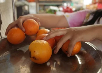 Cítricos:  la escasez que provocó una subida de precios